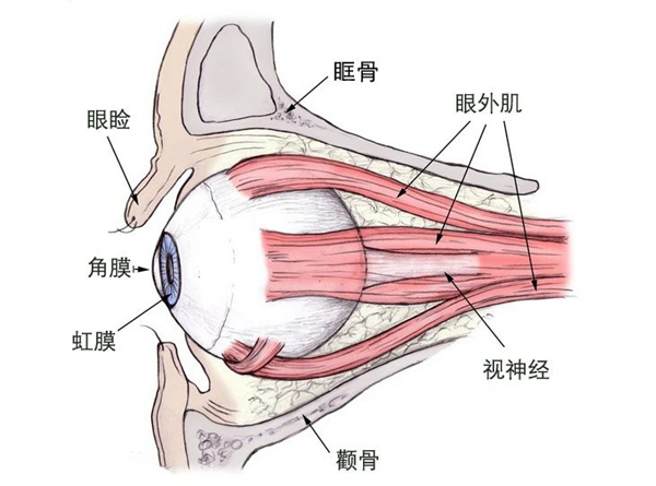 a651fca37a5a4ee8b11ffed980db7cfe.jpg